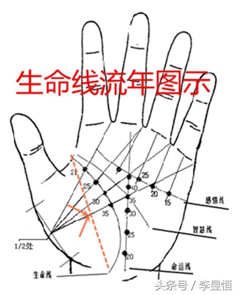 生命線下面多一條|手相之生命線最全面的圖解，圖文並茂，簡單易懂，聰明的你一看。